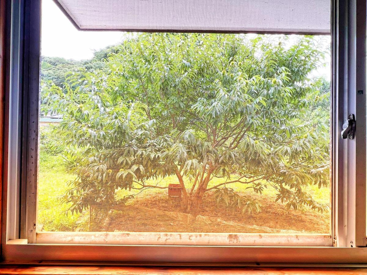 ホテル Iriyama-So 下田市 エクステリア 写真