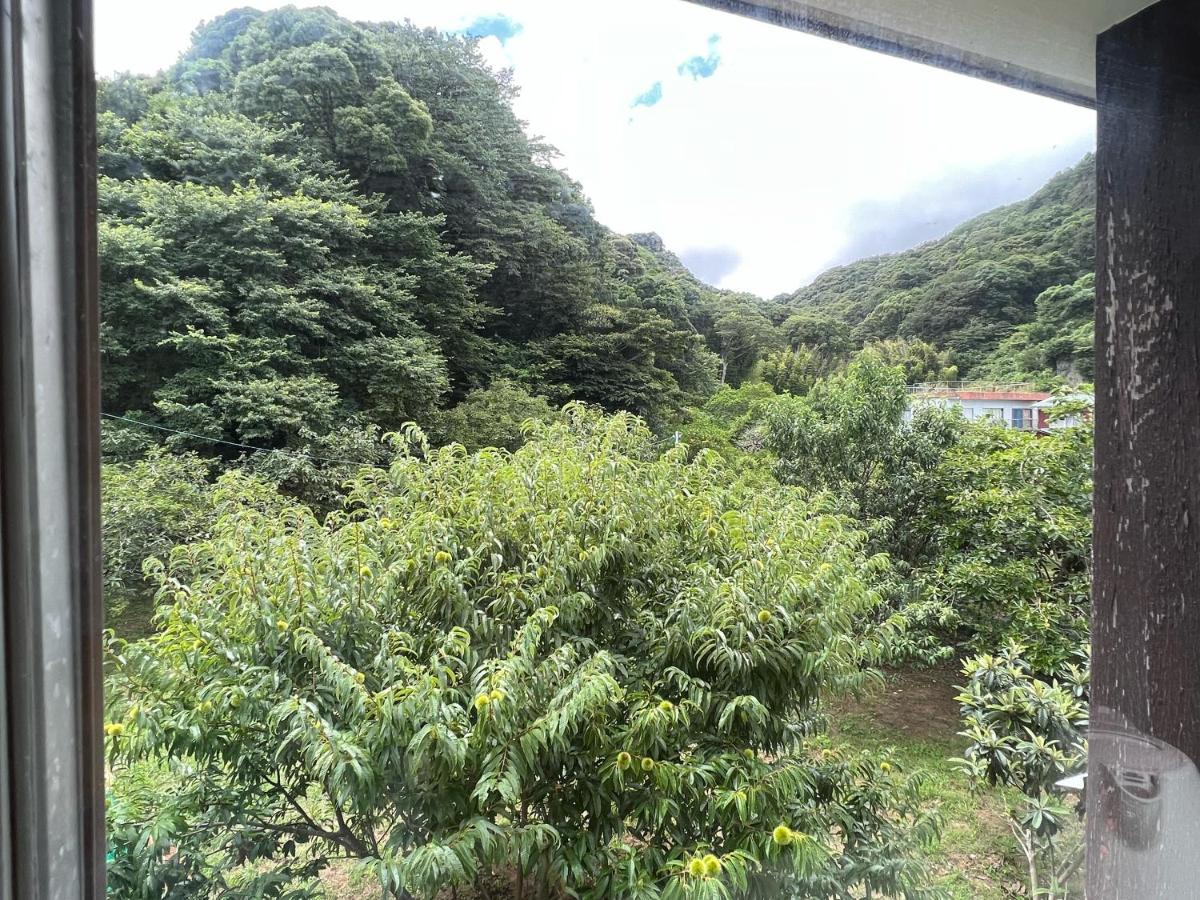 ホテル Iriyama-So 下田市 エクステリア 写真